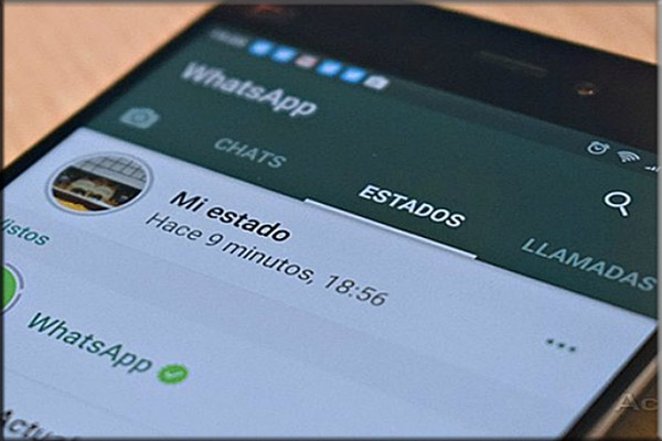 Langkah Menjalankan WA Web