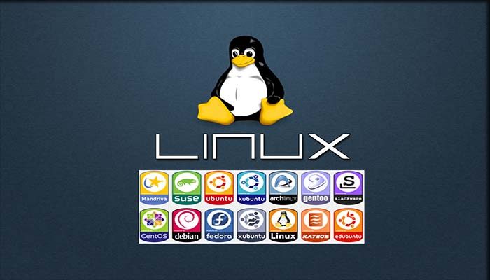 Jenis Sistem Operasi Linux yang Sering Digunakan