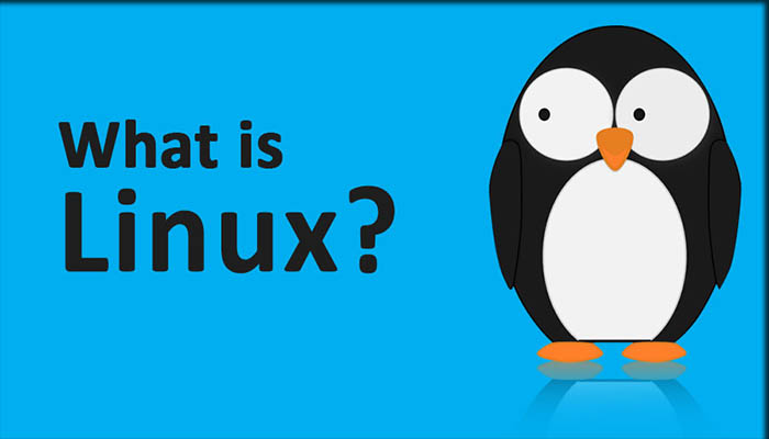 Apa Itu Pengertian Linux : Sejarah, Kelebihan, dan Jenis
