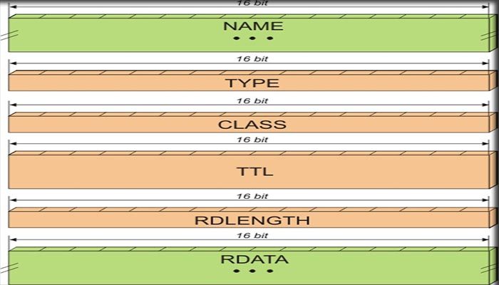 Bagian DNS