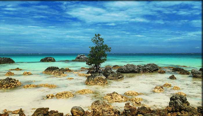 √ 17 Destinasi Wisata Pulau Nias yang Eksotis