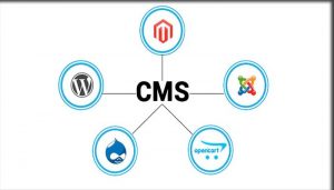 Apa Itu Pengertian CMS : Fungsi, Kelebihan, Jenis, & Contoh – NOVRIADI