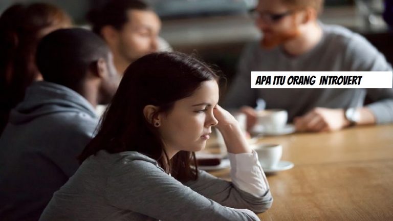 Apa itu orang Introvert, Bukti Mereka Orang yang Spesial – NOVRIADI