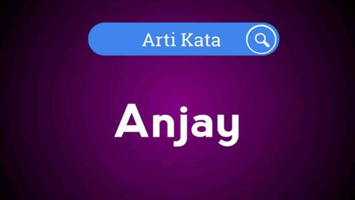 arti kata anjay