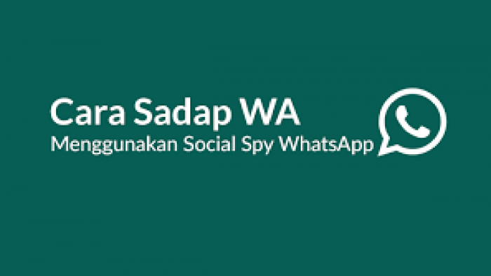 Spy SMS Whatsapp